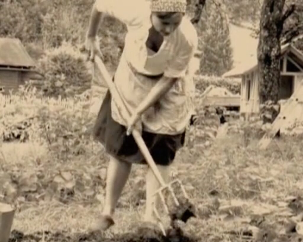 Projekte mit Schülern – Medienzentrum Oberallgäu